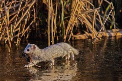 BUITEN BEELD Foto: 289956