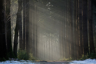 BUITEN BEELD Foto: 290039
