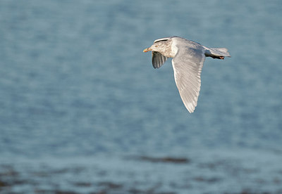 BUITEN BEELD Foto: 290072