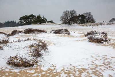 BUITEN BEELD Foto: 290278