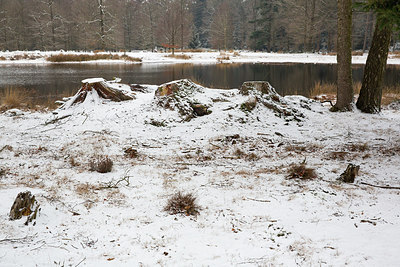 BUITEN BEELD Foto: 290280