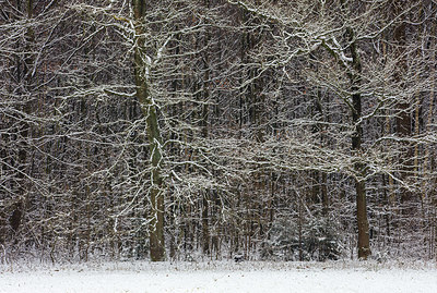BUITEN BEELD Foto: 290283