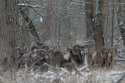 BUITEN BEELD Foto: 290292
