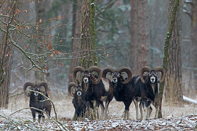 BUITEN BEELD Foto: 290294