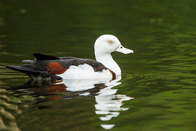 BUITEN BEELD Foto: 290335