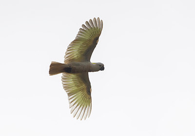 BUITEN BEELD Foto: 290351