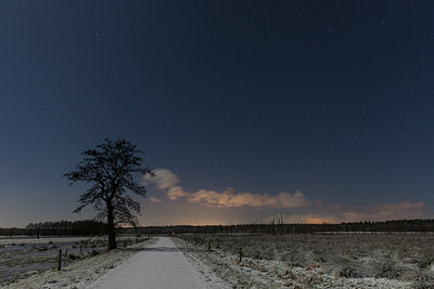 BUITEN BEELD Foto: 290462