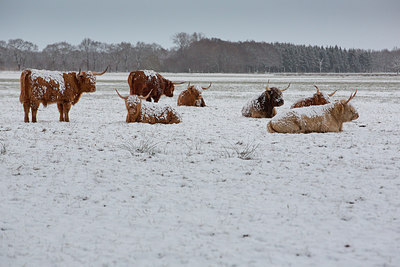 BUITEN BEELD Foto: 290466