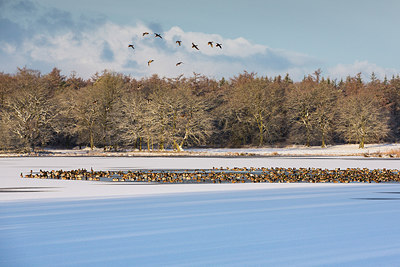 BUITEN BEELD Foto: 290467