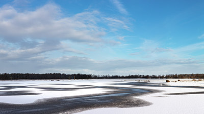 BUITEN BEELD Foto: 290472