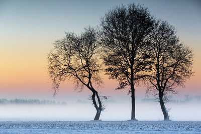 BUITEN BEELD Foto: 290493