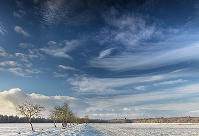 BUITEN BEELD Foto: 290495