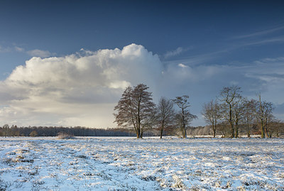 BUITEN BEELD Foto: 290496