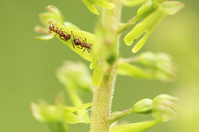 BUITEN BEELD Foto: 290519