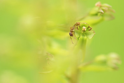 BUITEN BEELD Foto: 290520