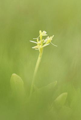 BUITEN BEELD Foto: 290540