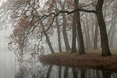 BUITEN BEELD Foto: 290620