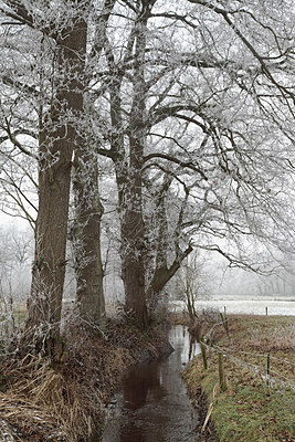 BUITEN BEELD Foto: 290637