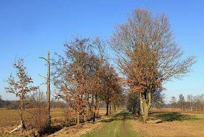 BUITEN BEELD Foto: 290641