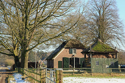 BUITEN BEELD Foto: 290642