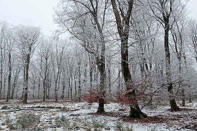 BUITEN BEELD Foto: 290658