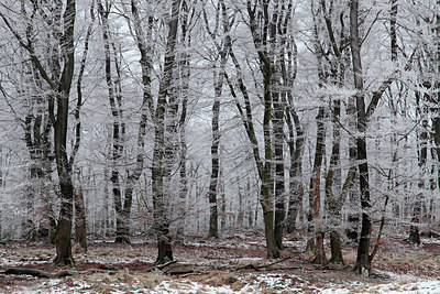 BUITEN BEELD Foto: 290659