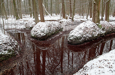 BUITEN BEELD Foto: 290665