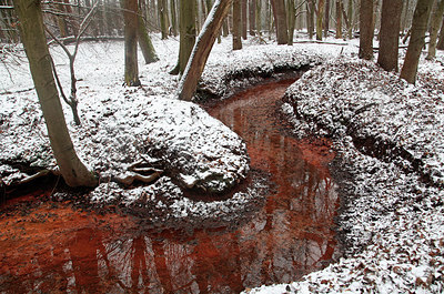 BUITEN BEELD Foto: 290666
