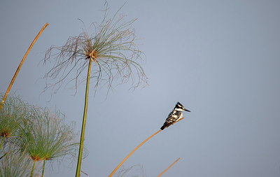 BUITEN BEELD Foto: 290672
