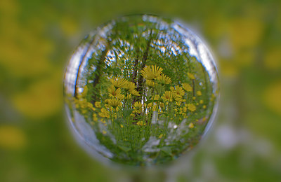BUITEN BEELD Foto: 290728