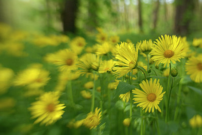 BUITEN BEELD Foto: 290730