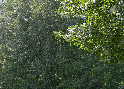 BUITEN BEELD Foto: 290752