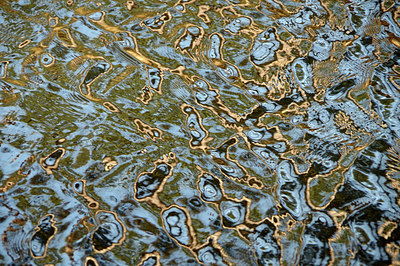 BUITEN BEELD Foto: 290872