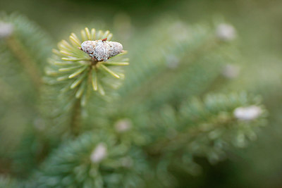 BUITEN BEELD Foto: 290905