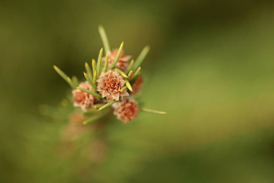 BUITEN BEELD Foto: 290910