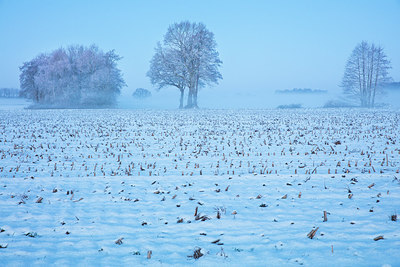 BUITEN BEELD Foto: 290938