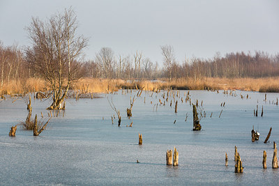 BUITEN BEELD Foto: 291006