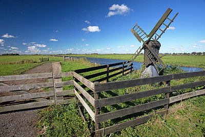 BUITEN BEELD Foto: 291015