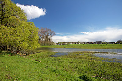 BUITEN BEELD Foto: 291024