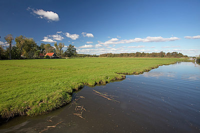 BUITEN BEELD Foto: 291025