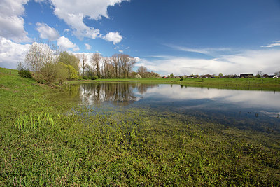 BUITEN BEELD Foto: 291034