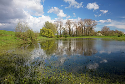 BUITEN BEELD Foto: 291037