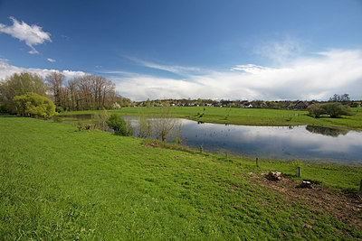 BUITEN BEELD Foto: 291039