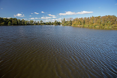 BUITEN BEELD Foto: 291046