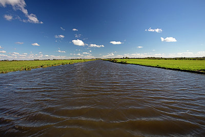 BUITEN BEELD Foto: 291048