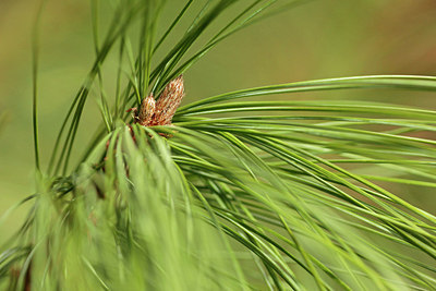 BUITEN BEELD Foto: 291144