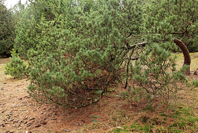 BUITEN BEELD Foto: 291154