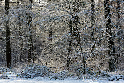 BUITEN BEELD Foto: 291181