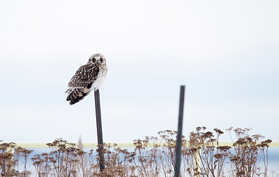 BUITEN BEELD Foto: 291197