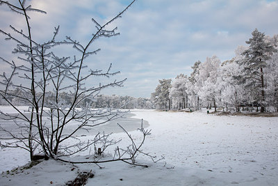 BUITEN BEELD Foto: 291233